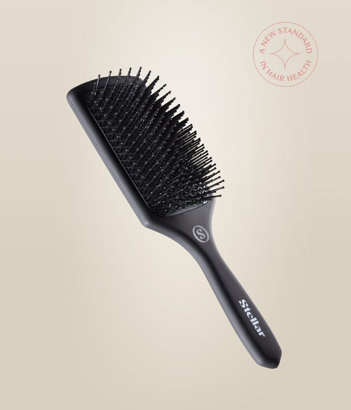 Maximal brosse remplacement repose flèches capture Maximal brosse remplacement repose flèches capture